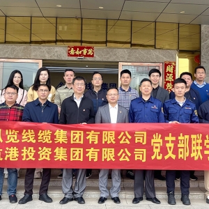 黨建引領(lǐng)聚合力 聯(lián)建共建促發(fā)展|縱覽線纜集團與航港投資集團開展聯(lián)學(xué)聯(lián)建黨建活動